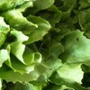 Onderzoek 'Echte en Eerlijke Prijs' duurzame producten van start