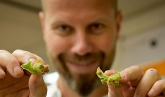 Sidney Schutte in de vegetarische maand