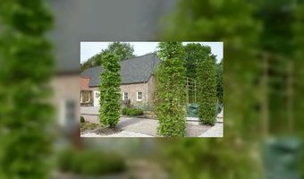 13 De bouw van mijn B&B: Grote getallen