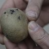 Onderzoek: De aardappel heeft de laagste milieudruk