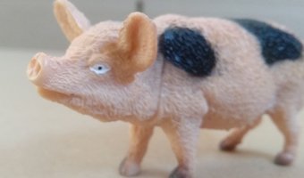 Sterrenrestaurants scoren slecht op vlak van dierenwelzijn
