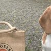Nieuwe naam voor Bagels & Beans