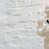 De Michelin Gids, TripAdvisor en TheFork lanceren een internationale strategische partnership 