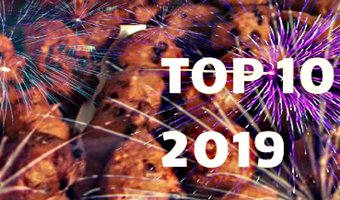 Deze 10 artikelen werden in 2019 het meest gelezen