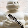 Alles over de Michelingids