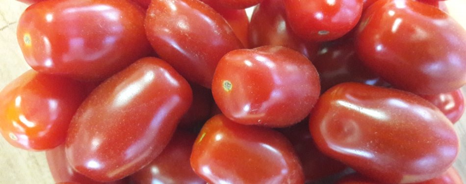 Wat zit er in de originele bolognesesaus?