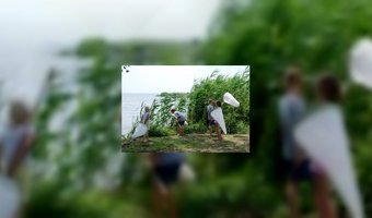 Spijbelen voor goedkopere vakantie