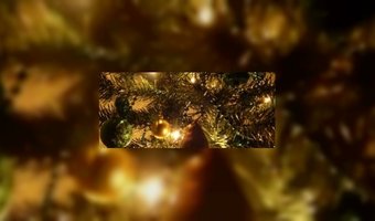 Nederlander wil graag op vakantie met kerst