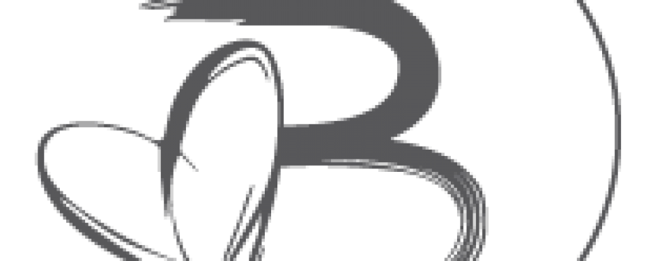 Beluga Loves You zet verbouwing in: 1 augustus weer open