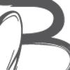 Beluga Loves You zet verbouwing in: 1 augustus weer open