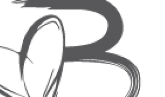 Beluga Loves You zet verbouwing in: 1 augustus weer open
