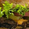 Diner Fat Phill’s opent in Almere Centrum