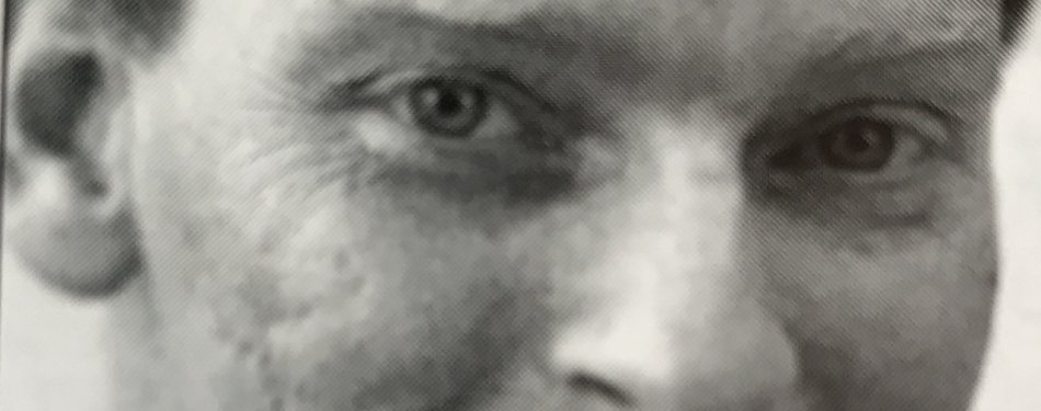 Column Ewout Hoogendoorn: nog een tijdje ellende in de VS