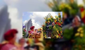 Drukke maar fleurige dagen in Noordwijk