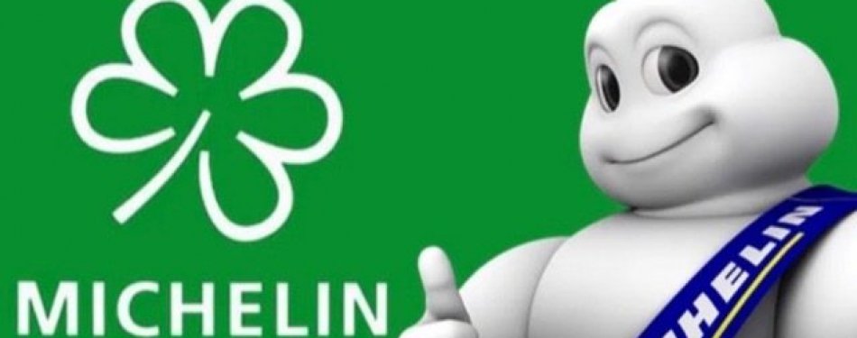 Deze chefs wonnen de Groene Michelinster