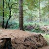 De top 10 van de meest gezochte kleinere Nederlandse bestemmingen