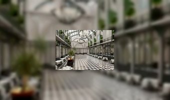 Hotelvrijmibo in vernieuwde Krasnapolsky