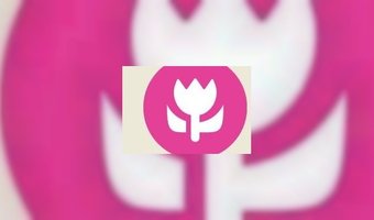 Ook 1 tot en met 4 tulpen in de prijs