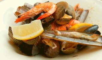 Visconsumptie in Nederland: we eten te weinig vis