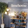 Digitaal hotelconcept limehome breidt uit naar Nederland 