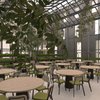 Mews gaat de Hotels for Trees propositie in het product integreren