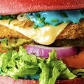 Vegan Junk Food Bar na Spanje nu ook naar Duitsland