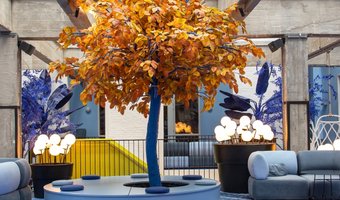 Dit lees je in de gloednieuwe Hotel&Design