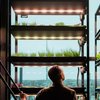 Hotel Haarhuis opent eerste Arnhemse restaurant met Vertical Farm