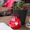 Horeca Alliantie presenteert plan: ‘Horeca kan open per 26 januari’
