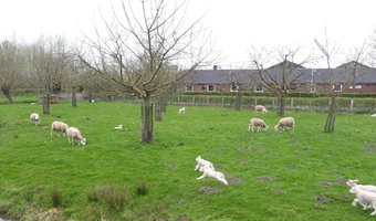 Vijf tips voor een digitale voorjaarsschoonmaak