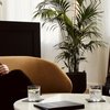 COO Fletcher Hotels maakt overstap naar Black Label Hospitality