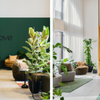 'Cove Centrum' geopend: eerste Nederlandse locatie in Den Haag