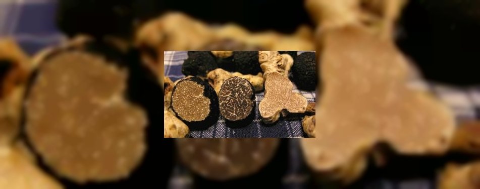 Reflet viert Rôtisseurs-aansluiting met truffel