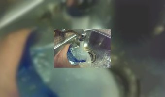 Gratis kraanwater en populaire BN'ers