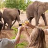 Wegens succes terug bij Beekse Bergen: Brew@theZoo