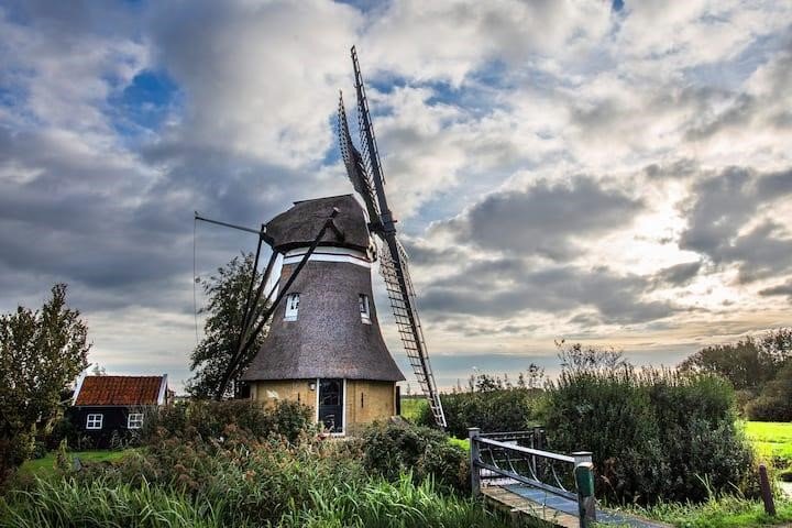Reis door de tijd: Airbnb introduceert nieuwe categorie