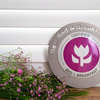 Dit zijn de nominaties voor ‘Beste Bed & Breakfast van Nederland 2023’