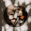 Relais & Châteaux en Slow Food opnieuw in actie voor Food For Change