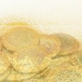 Petitie 'Voorkom extra bierbelasting' massaal ondertekend