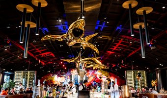 The Harbour Club introduceert dynamic pricing: “Een steak hoeft niet altijd hetzelfde te kosten”