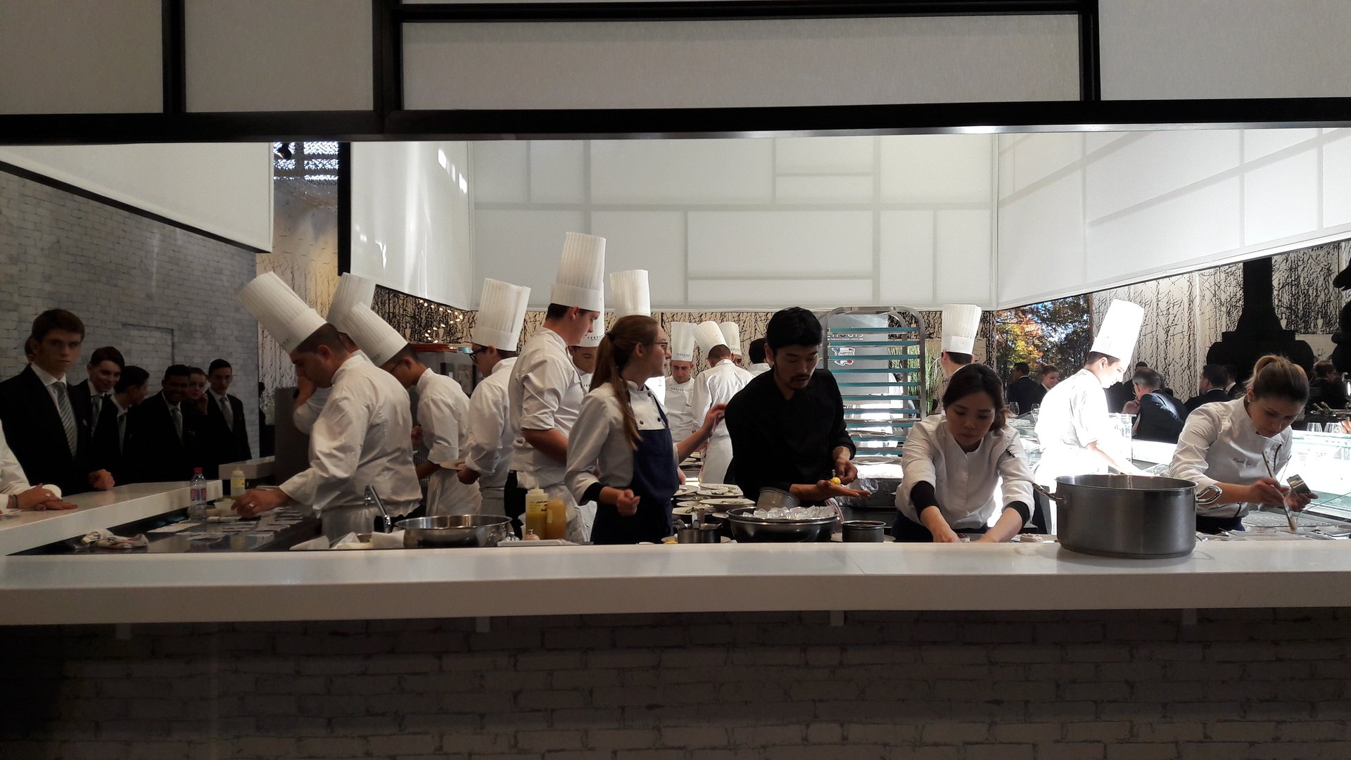 Chef-koks Relais & Châteaux stoppen met serveren van paling om uitsterven te voorkomen