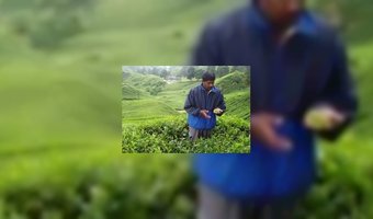 A label voor koffie- en theemerken