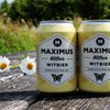 Maximus brengt witbier met lokale kamille uit
