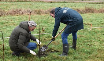 Niet poetsen maar planten: een boom voor elke overgeslagen kamerschoonmaak