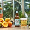 Lowlander onderzoekt: horeca kan miljoenen extra omzet realiseren met alcoholvrij en -arm bier