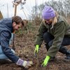 Hotels for Trees behaalt nieuwe mijlpaal van 500.000 geplante bomen