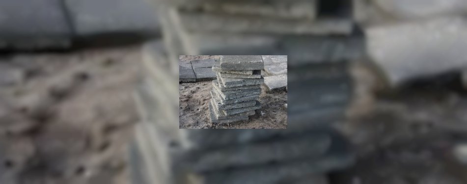 Hotel voor expats in Gilze-Rijen?