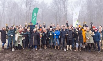 Hoteliers planten samen nieuw bos op Landgoed Zuylestein