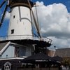 Swinkels sluit bekende craftbierbrouwerij De Molen