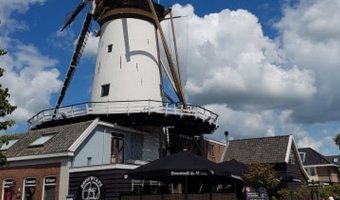 Swinkels sluit bekende craftbierbrouwerij De Molen